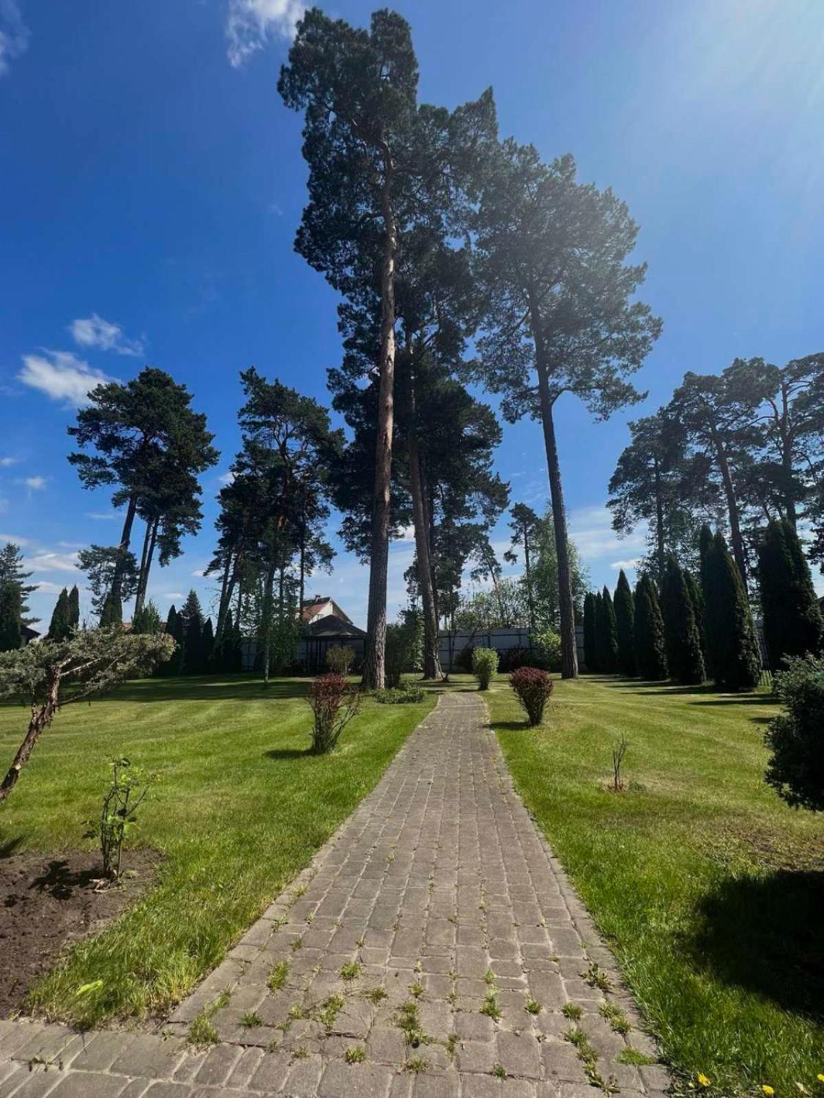 Borovik Hotell Novosilki Exteriör bild